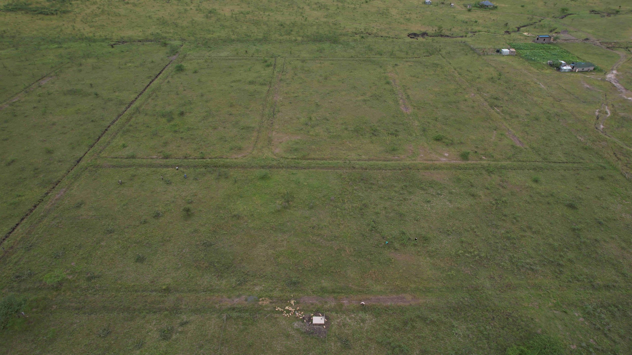 Acacia Ridge