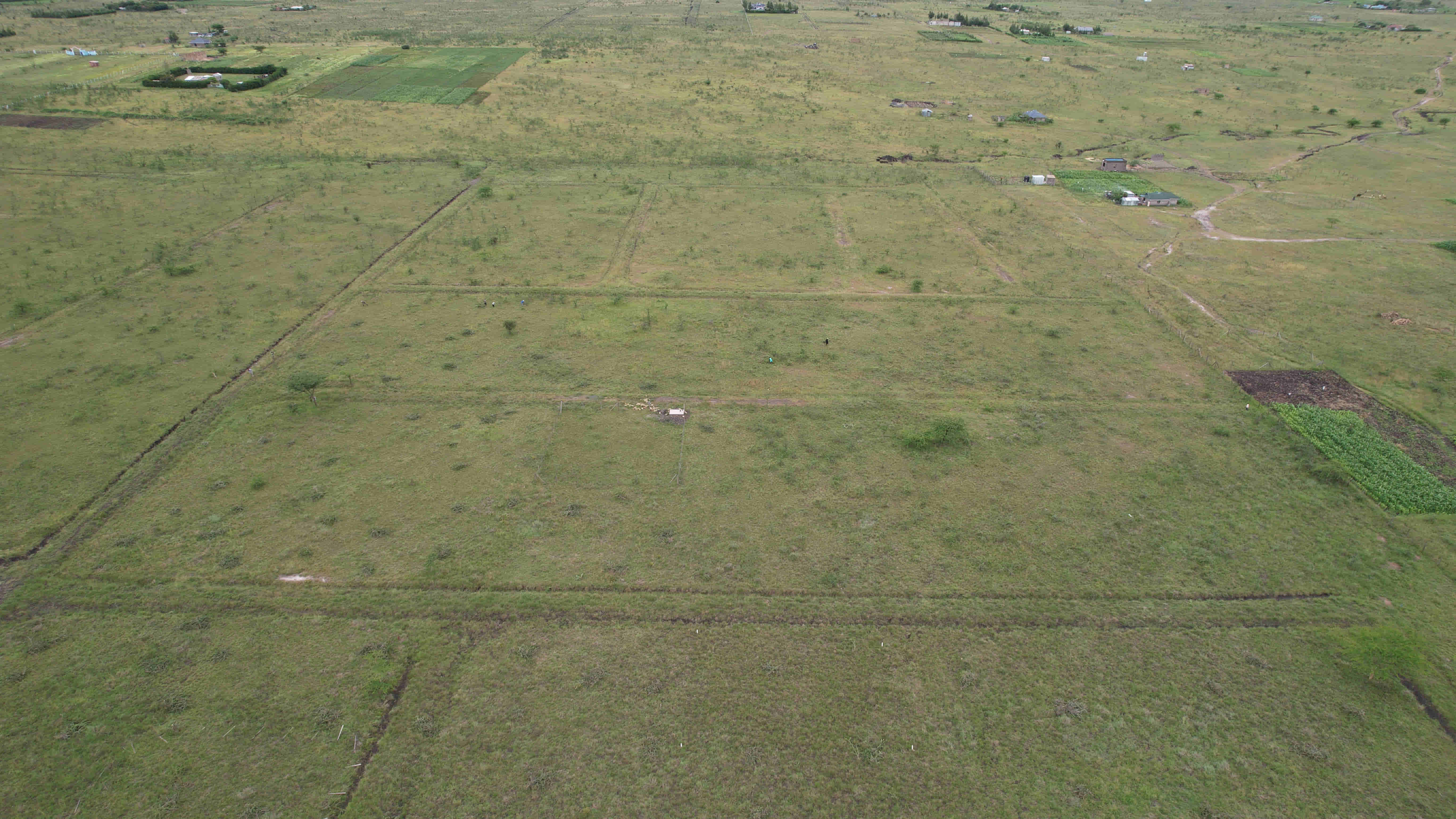 Estate aerial view