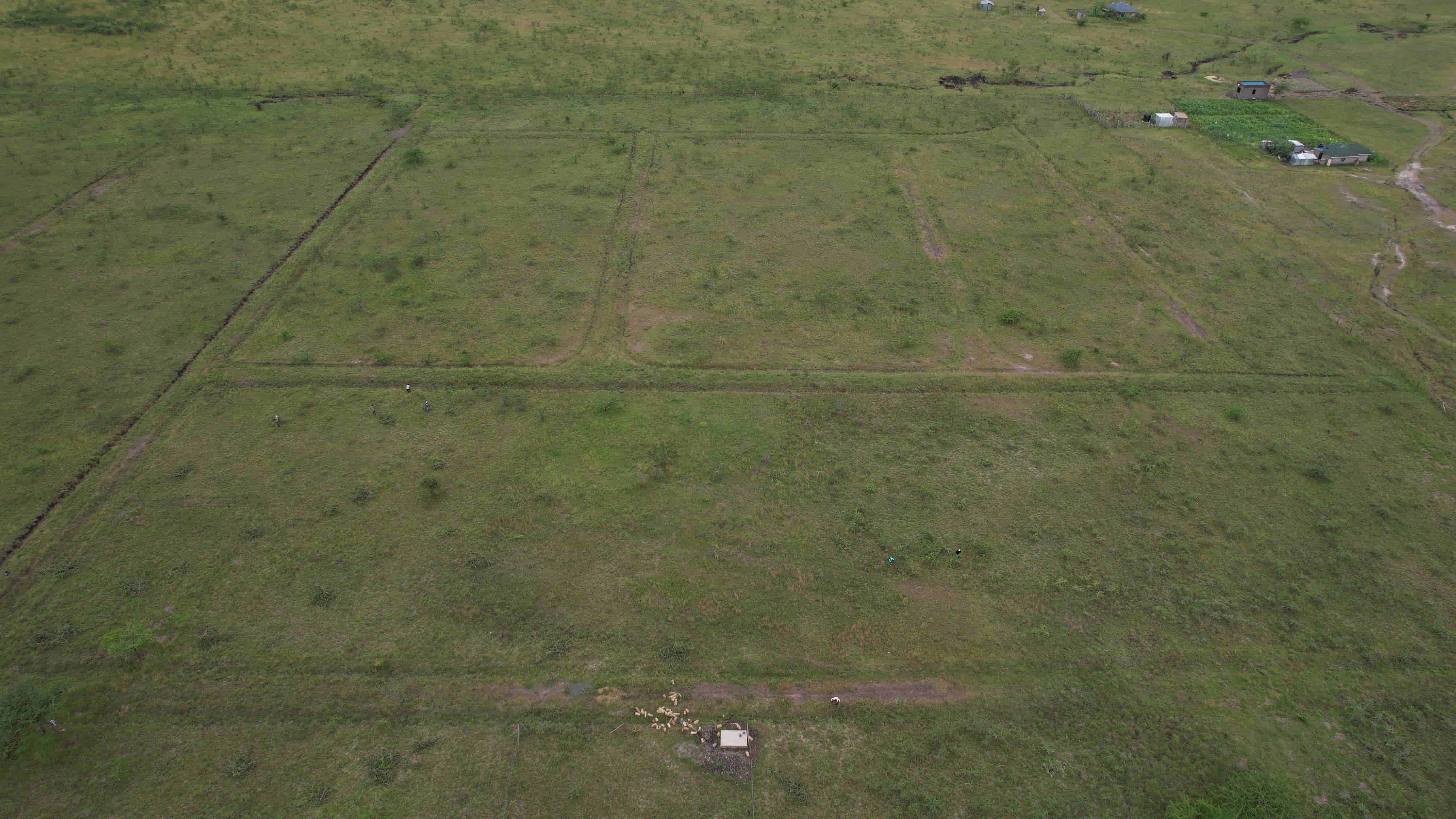 Wide establishing shot of the estate.