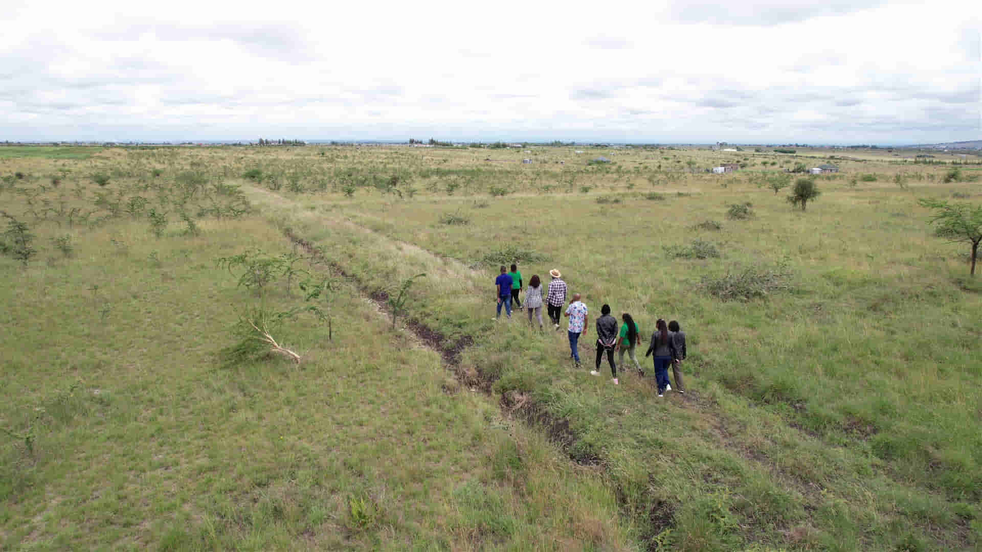 Walking the graded estate paths.