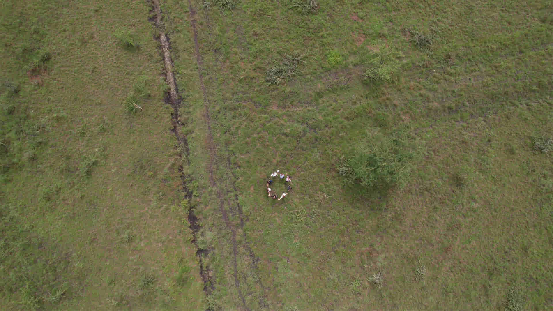 High aerial — the scale of the parcel.
